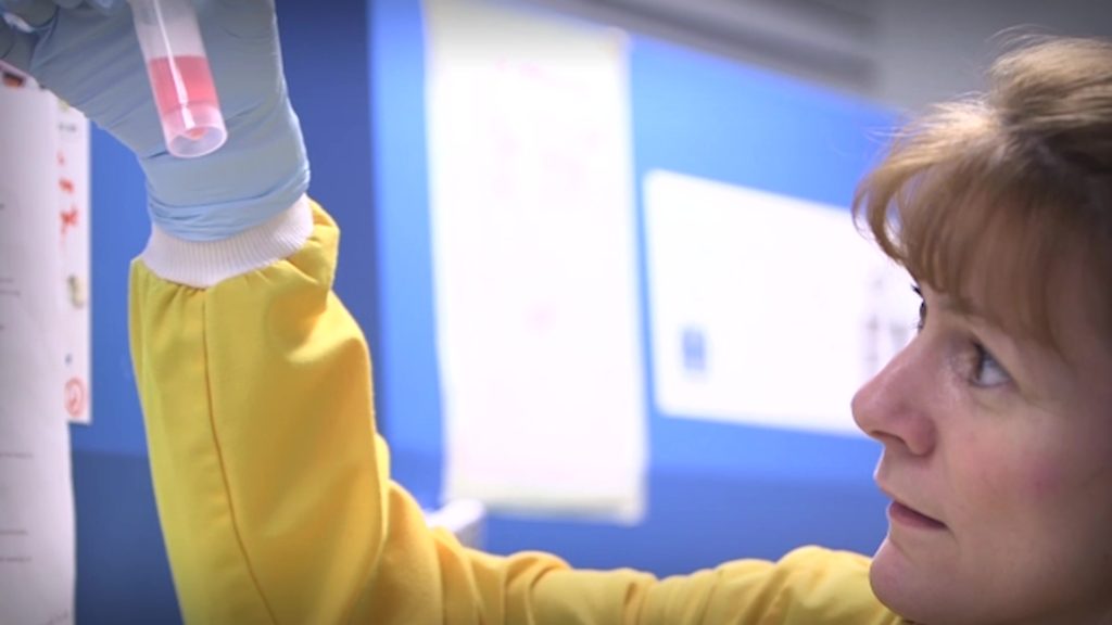 Woman looking at test-tube in laboratory