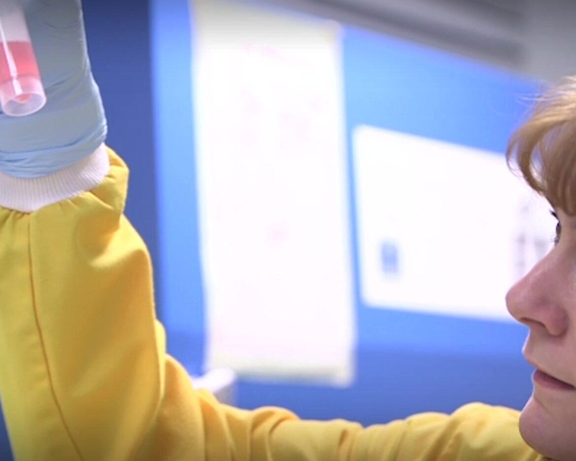 Woman looking at test-tube in laboratory
