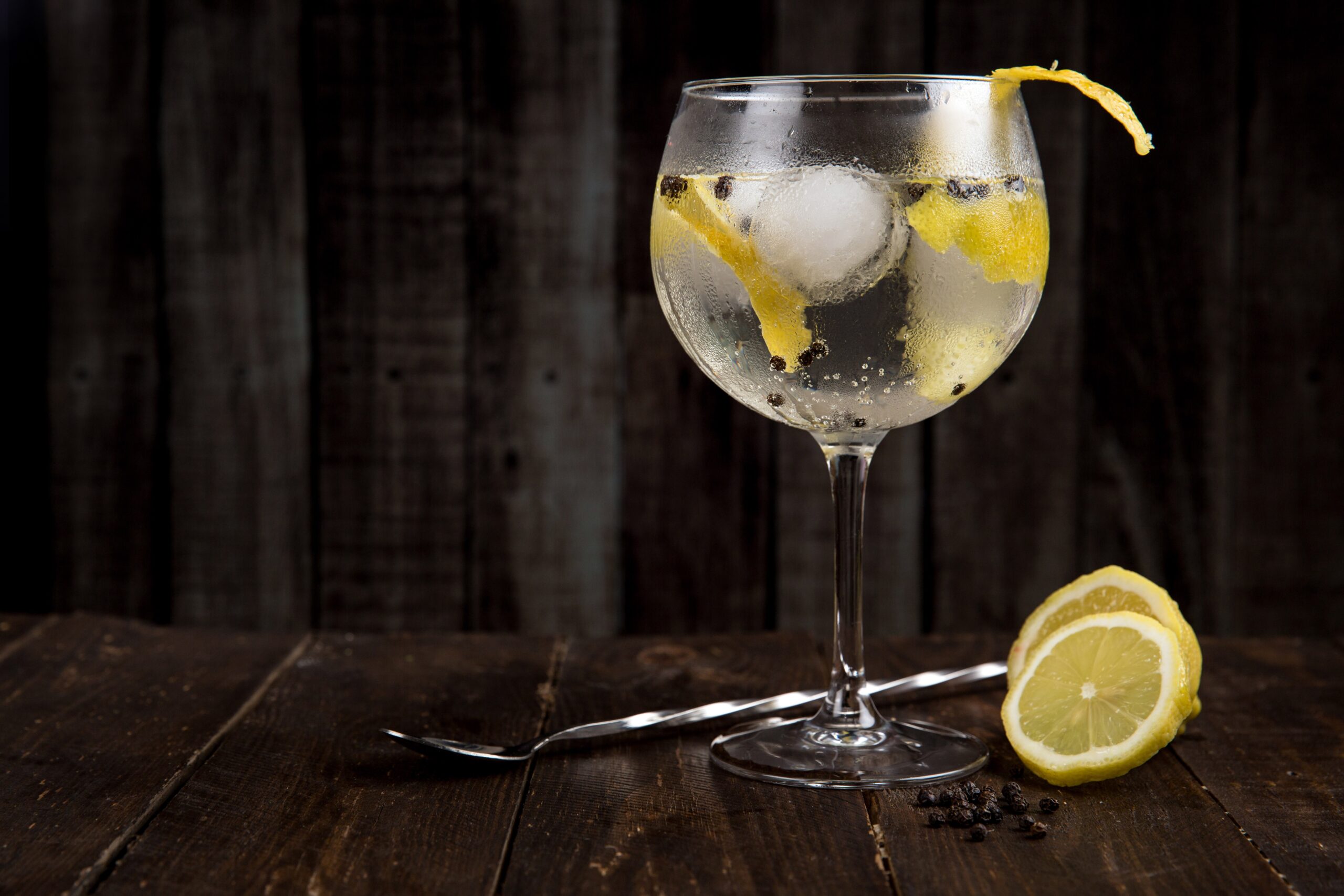 como-preparar-un-gin-tonic-con-limon-scaled